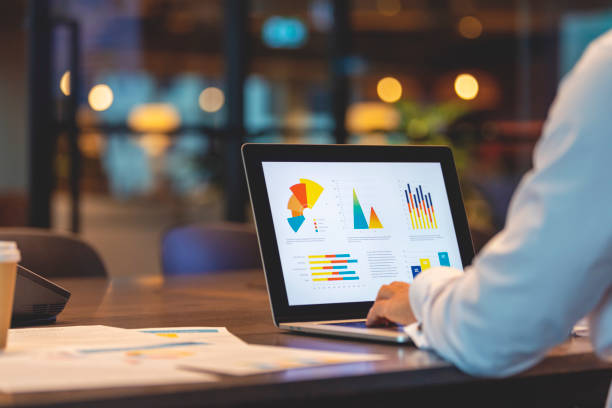 Owner using accounting software